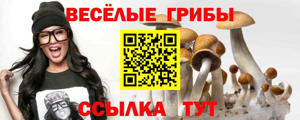Галлюциногенные грибы Psilocybe  Галлюциногенные грибы GOLDEN TEACHER  Вход с VPN  Советск 